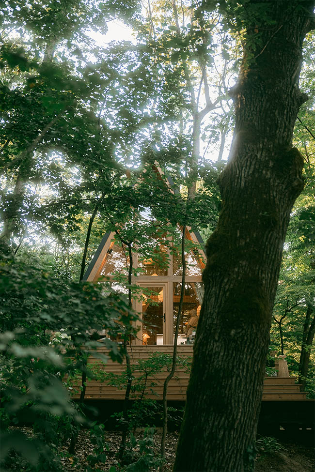 woodland_lodge_weblatvany